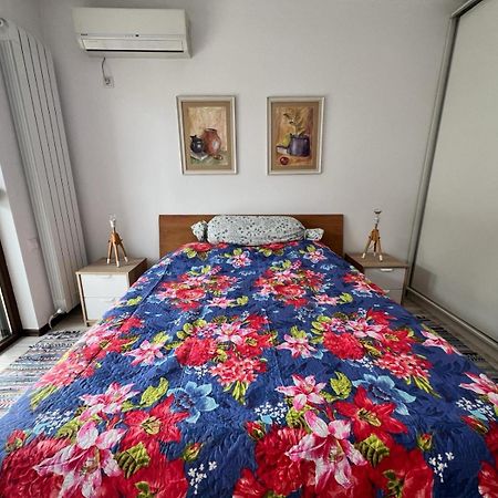 Kazanlak Large Guest House Apartment Near The Center With Full Kitchen & Dining Room, King Beds, Garden Patio, Free Parking & Self Check-In Kültér fotó